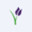 1-800-FLOWERS.COM (Backpack Securities) Logo