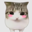 A little cat worn down by life. Logo