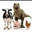 #animaltwt Logo