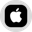 Apple (Ondo Tokenized Stock) Logo