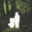 aura Logo