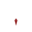 Avarik Saga Logo