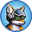 Aviator Logo