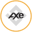 Axe Compute (bStocks Tokenized Stock) Logo