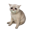 Baby Cash Cat Logo
