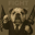 Babydog Logo