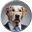 Big Dog Fink Logo