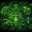 Biotech Accelerationism Logo