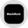Blackrock, Inc. (Ondo Tokenized Stock) Logo