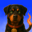 Blaze Logo