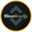 Bloom Energy (bStocks Tokenized Stock) Logo