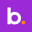 BNS Token Logo