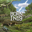 Born in 19 Logo