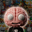 brainrot Logo