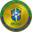 Brazil Fan Token Logo