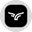 Bullish (Ondo Tokenized Stock) Logo
