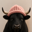 bullwifhat Logo