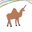 Camelcorn Logo