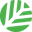 Canopy Logo