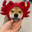 Canwifhat Logo