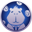Capybara Nation Logo