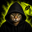 Cat in Hood Logo