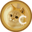 Catcoin Logo
