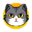 CatCoin Token Logo