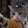 CatFu Logo