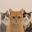 Cats Logo
