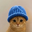Catwifhat Logo