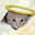 Ceiling Cat Logo