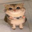 ChatGPT Cat Logo