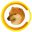 Cheems CTO Logo