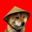 Chinese Doge Wow Logo