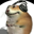 chomik Logo