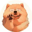 CHOW Logo