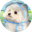 COAT DOG Logo