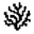 Coral Protocol Logo