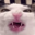 Crunchcat Logo