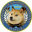 Department Of Government Efficiency Logo