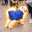 dog in a bag Logo