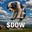 Dog on Wire Logo