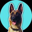 Dog Picasso Logo