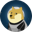 DOGE-1 Logo
