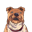 Dogs Rock Logo