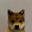 dogwifouthat Logo