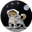 Dogz Logo