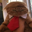 DONALDCAT Logo