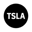 Tesla Tokenized Stock Defichain Logo